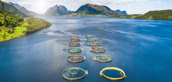 Trykkluftkompressor i bruk i akvakultur – energioptimalisert løsning fra KAESER KOMPRESSOREN for bærekraftig behov for trykkluft.