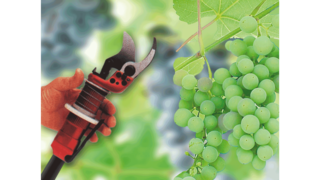 KAESER industri-stempelkompressorer ved vindyrking.